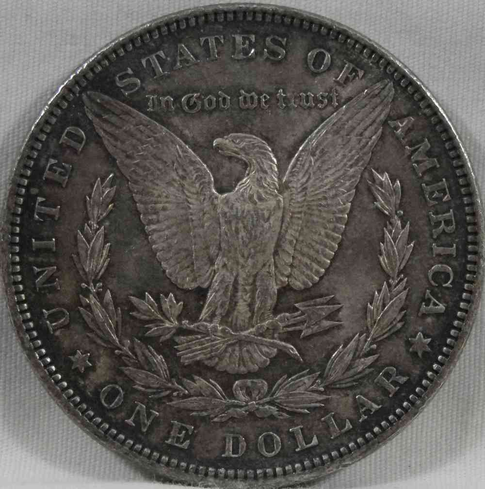 Grading-This-1891-Morgan-Dollar